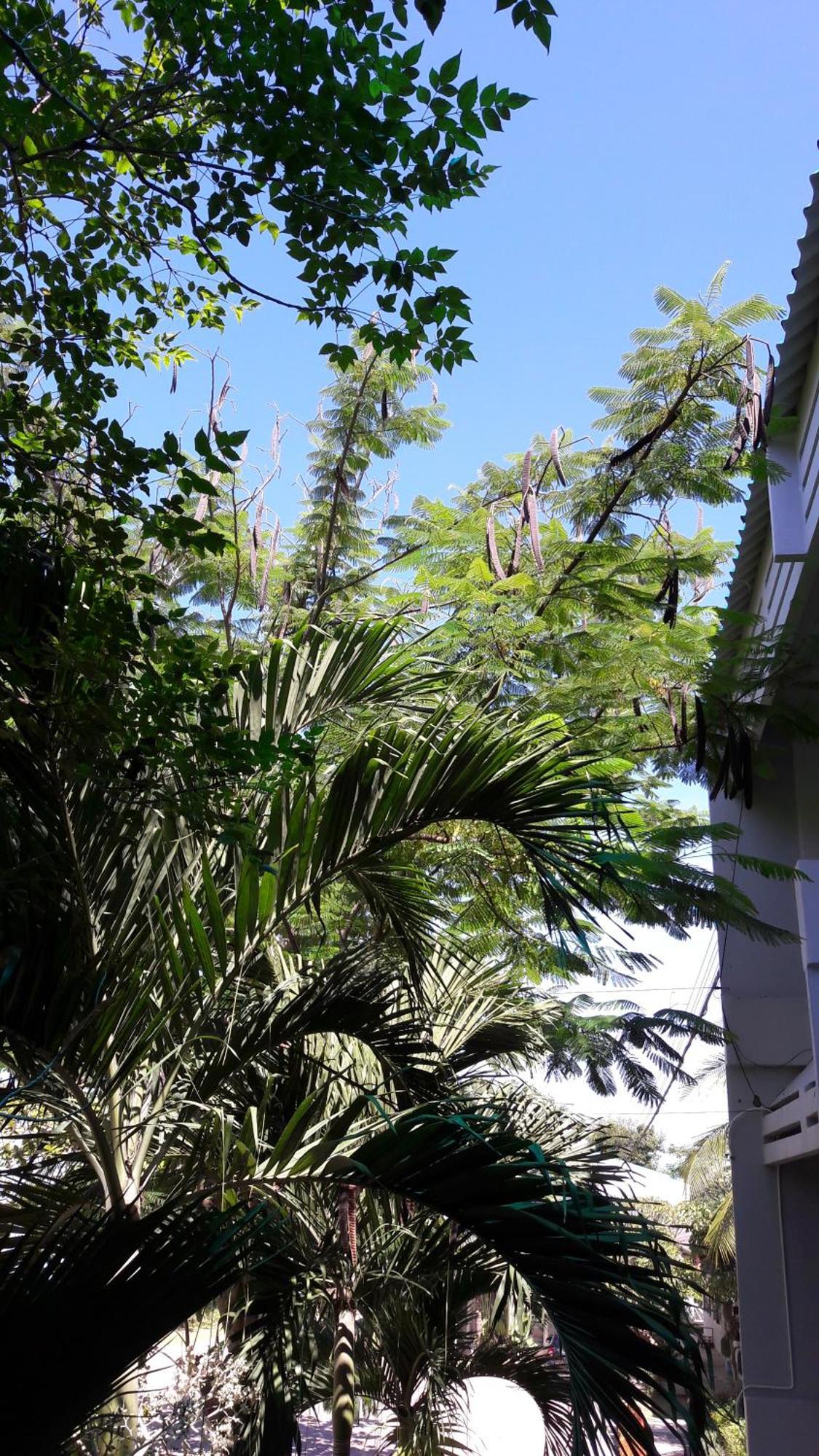 Addera Residence HHQ Esterno foto
